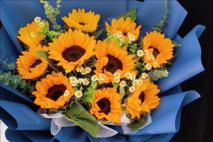 ��ɽ����